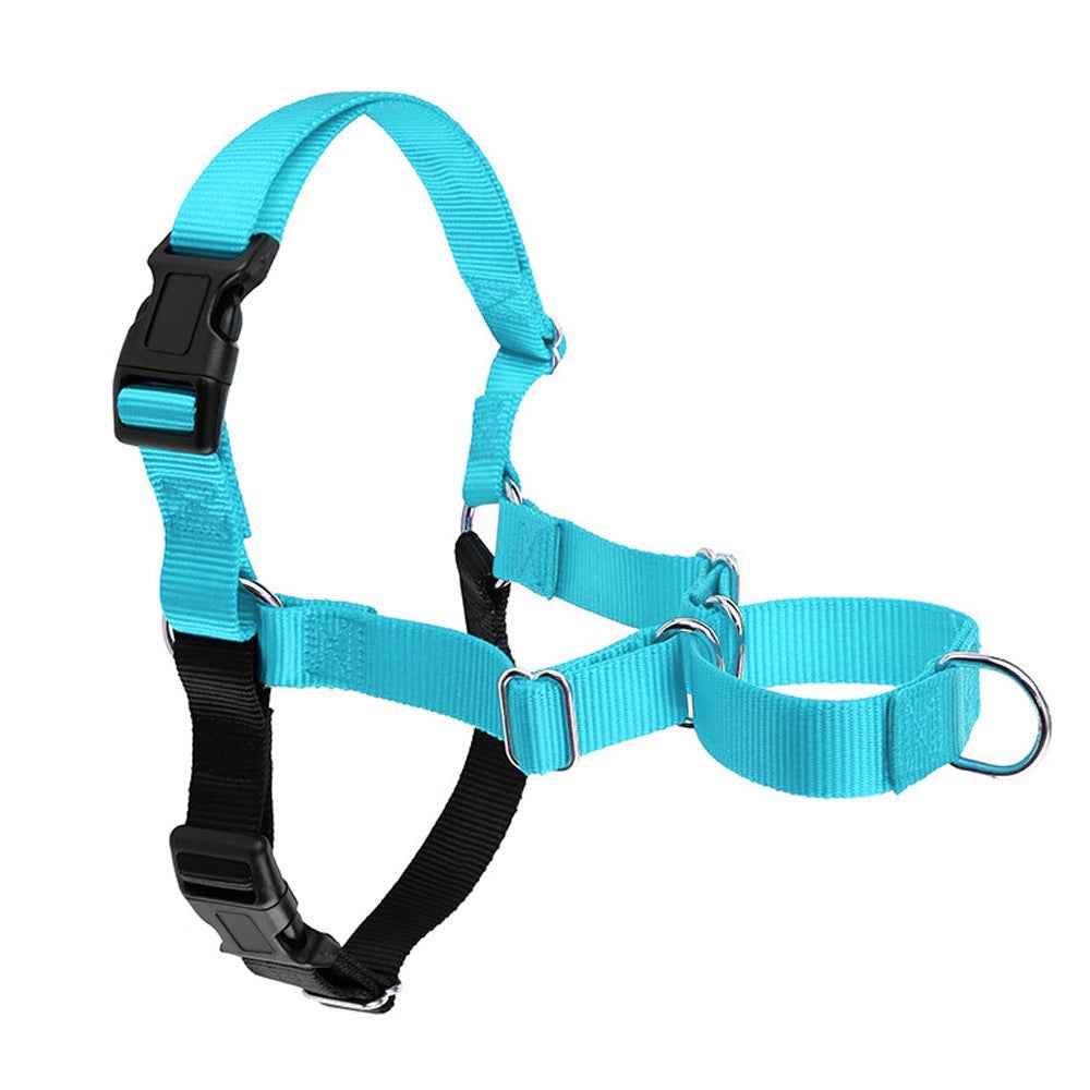 comfortable dog walking collar