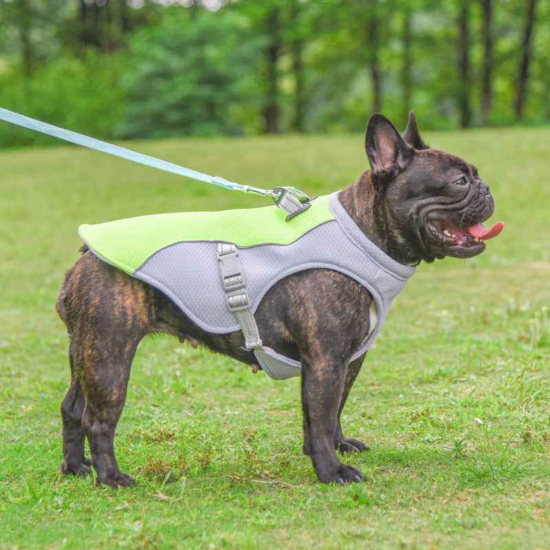 Cooling Vest for Dogs
