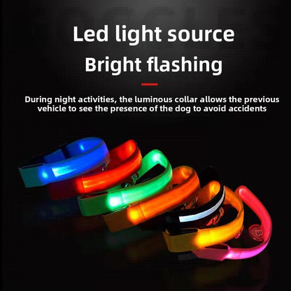Dog luminous collar, USB charging dog collar, large and small LED pet anti lost collar