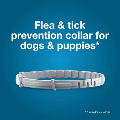Seresto Flea & Tick Collar For Dogs Over 18 lbs.8 Month's Protection