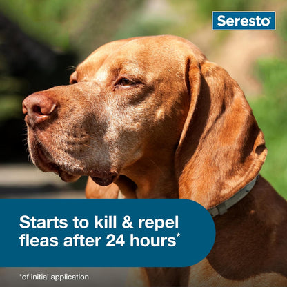 Seresto Flea & Tick Collar For Dogs Over 18 lbs.8 Month's Protection