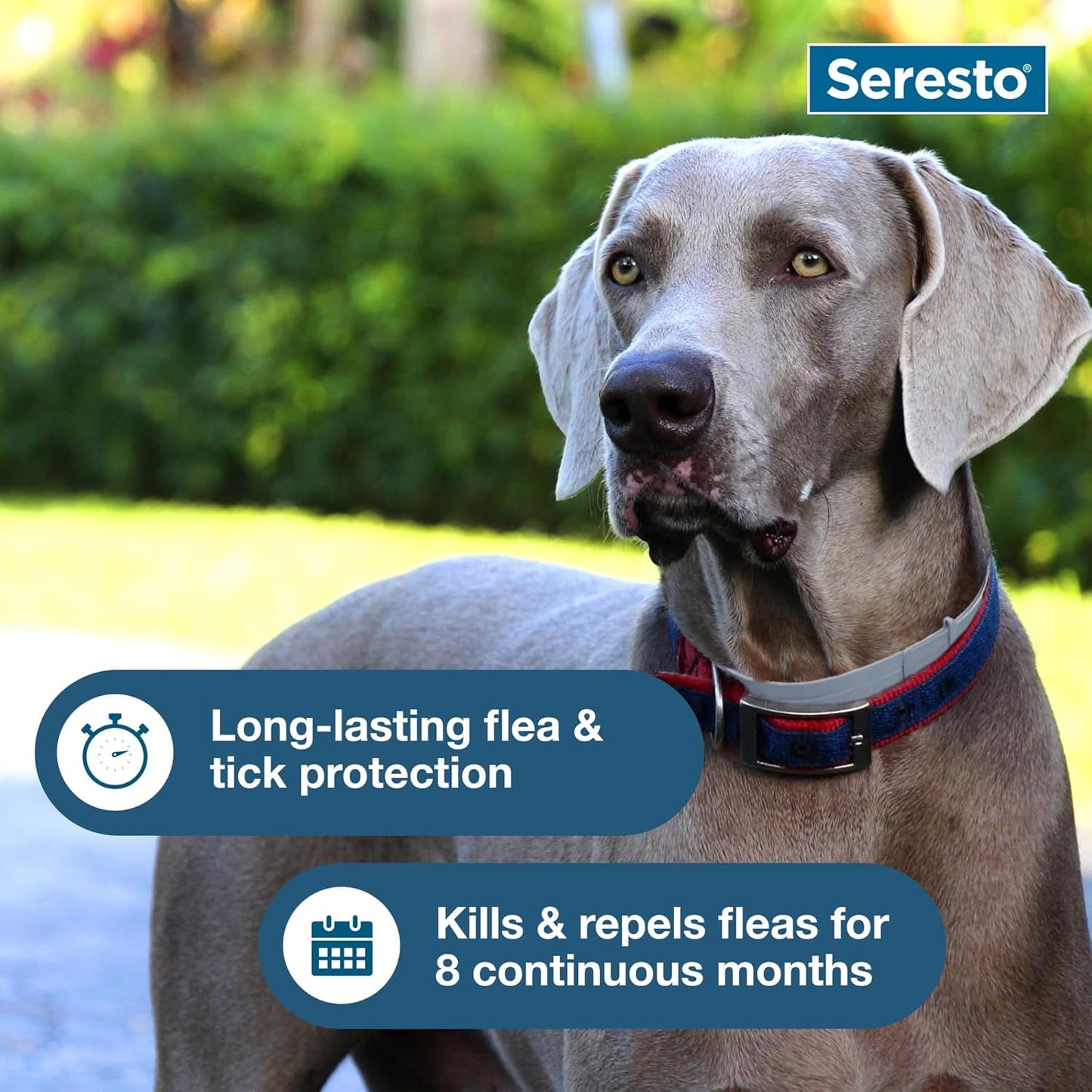 Seresto Flea & Tick Collar For Dogs Over 18 lbs.8 Month's Protection
